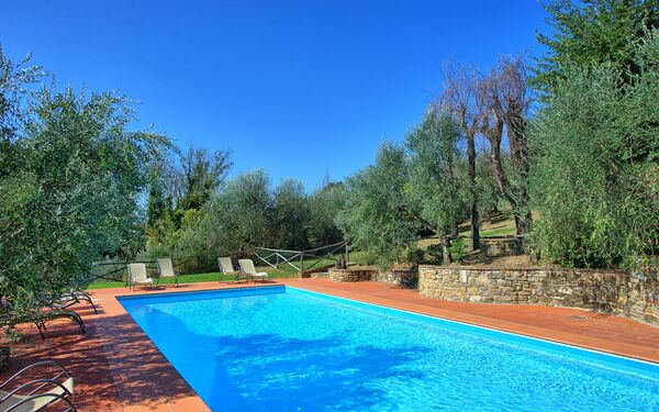 La Selva: slå samman, Trädgård