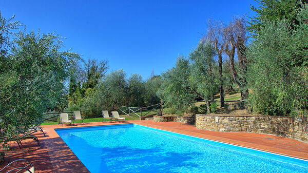 La Selva: slå samman, Trädgård