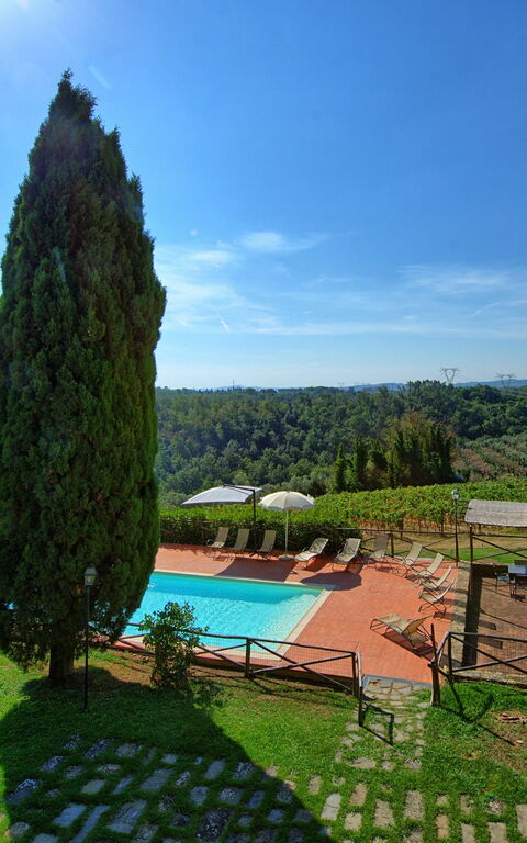 Il Frantoio: Visningar