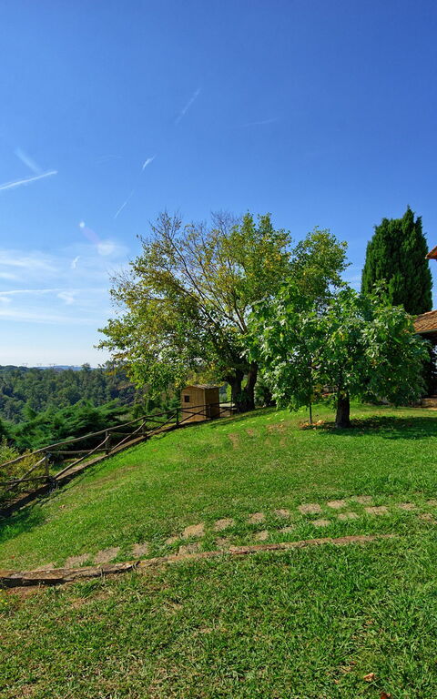 Il Frantoio: Trädgård