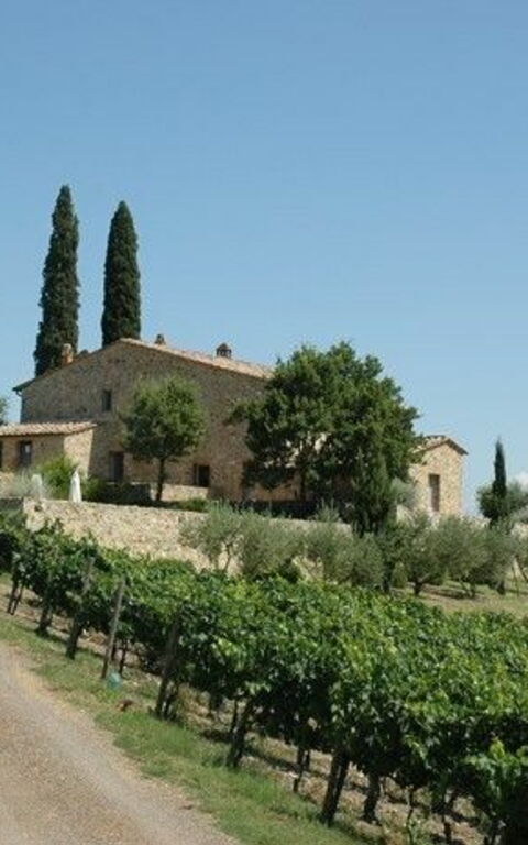 Brunello: Trädgård