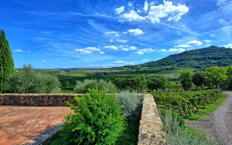 Brunello: Trädgård, Visningar
