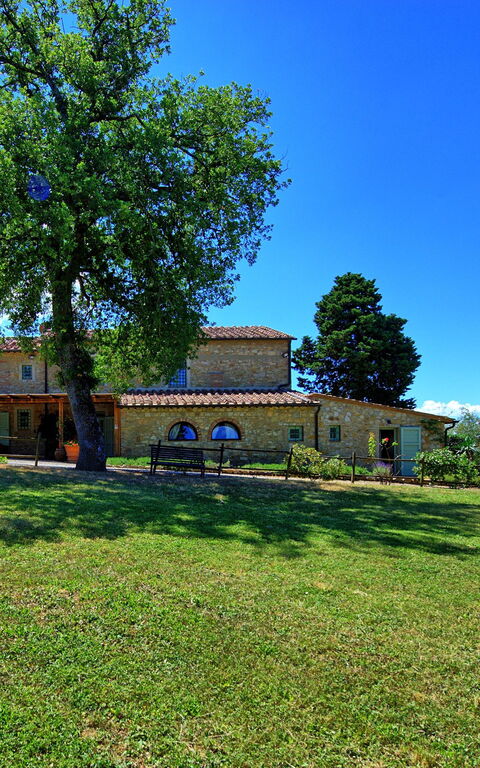 San Donato: Trädgård, Utomhus