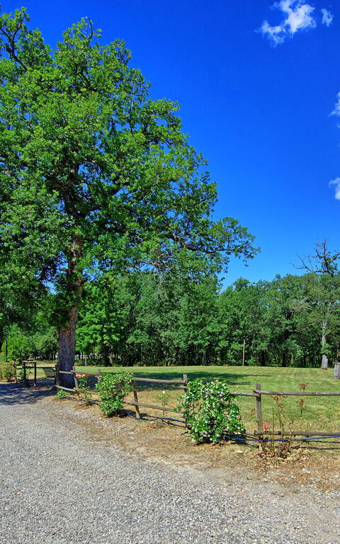 San Donato: Trädgård