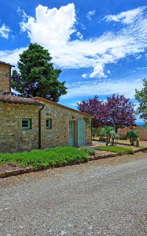 San Donato: Trädgård, Utomhus