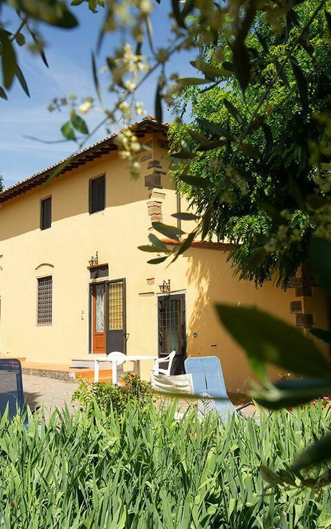 Le Vasche: Trädgård, Utomhus