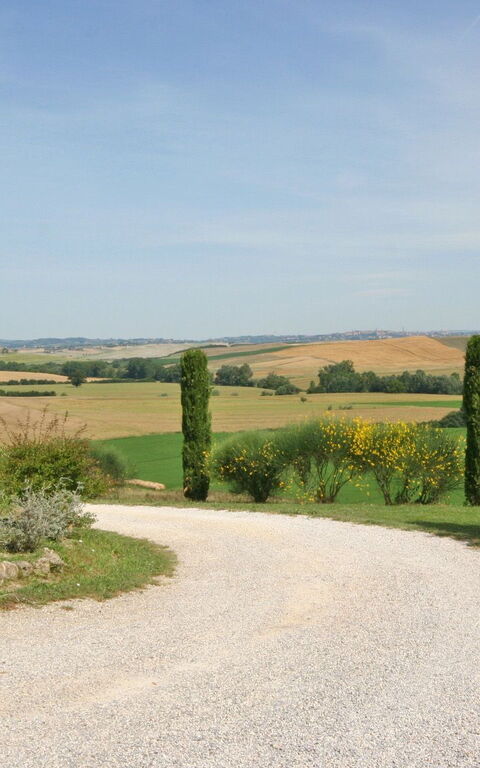 San Donnino: Visningar