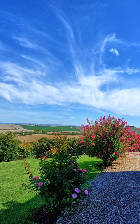 San Donnino: Trädgård, Utomhus