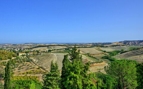 Semesterboende Certaldo 2: Visningar