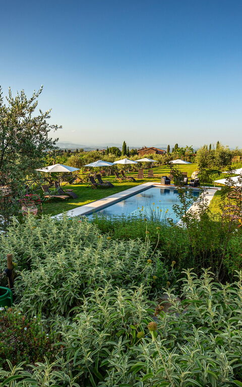 Villa Amadeo: Exteriör, slå samman, Trädgård, Utomhus, Visningar