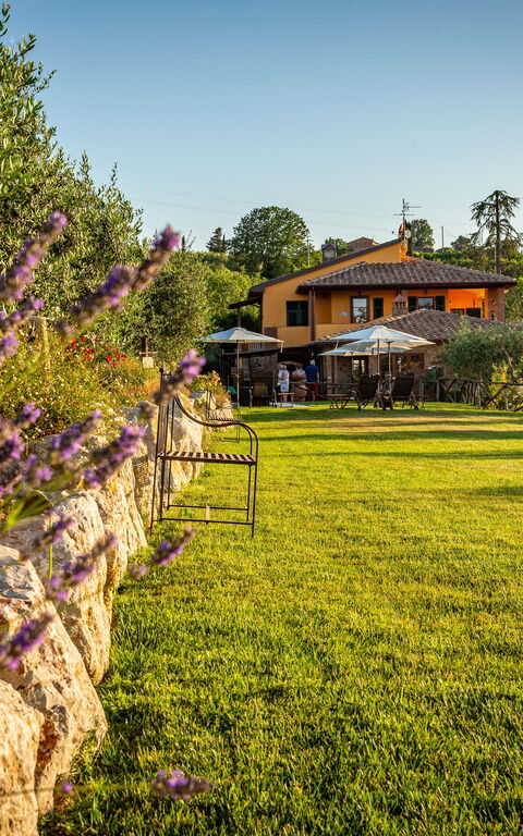 Villa Amadeo: Exteriör, Trädgård, Utomhus
