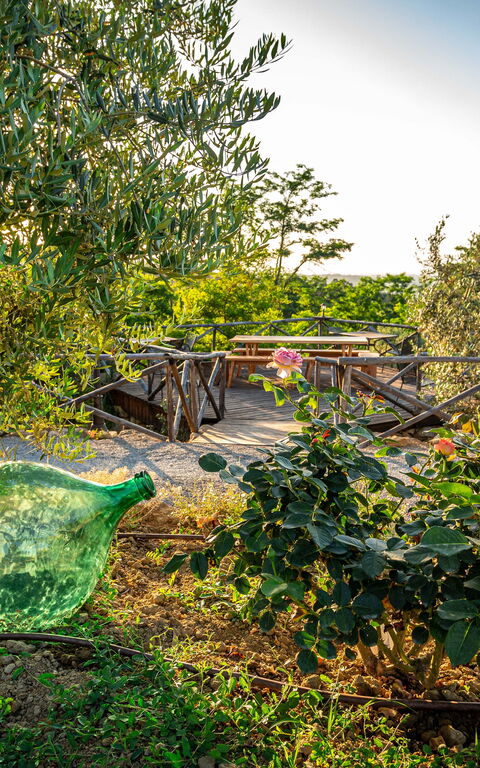 Villa Amadeo: Exteriör, Trädgård, Utomhus