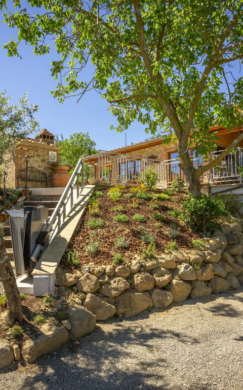 Villa Amadeo: Exteriör, Trädgård, Utomhus