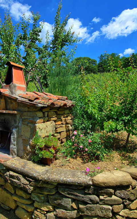 Villa Lo Scoiattolo: Trädgård, Utomhus