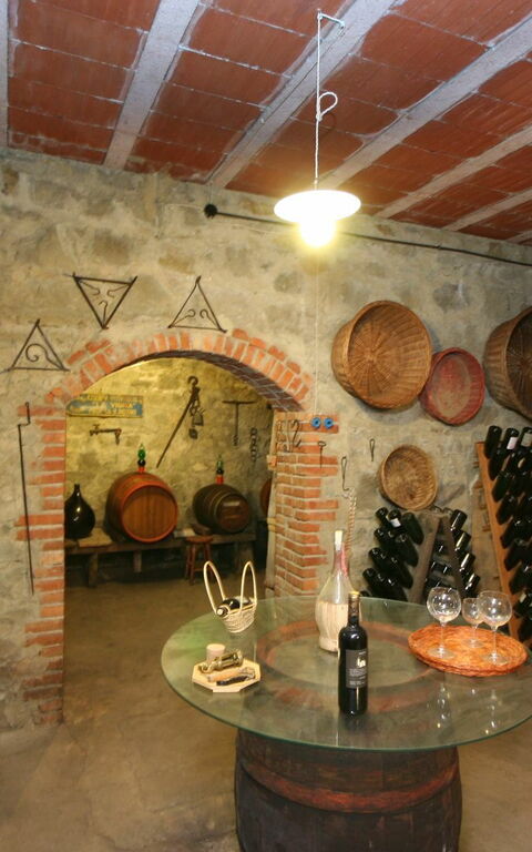 Villa Lo Scoiattolo: Aktiviteter