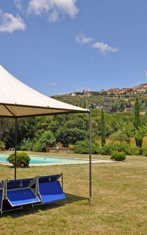 Villa Elisa: Trädgård