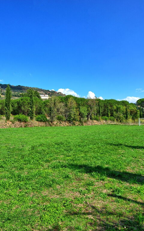 Villa Elisa: Trädgård