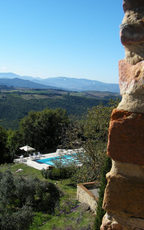 Dante: slå samman, Trädgård