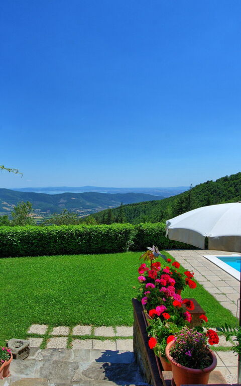 Il Salice: Trädgård