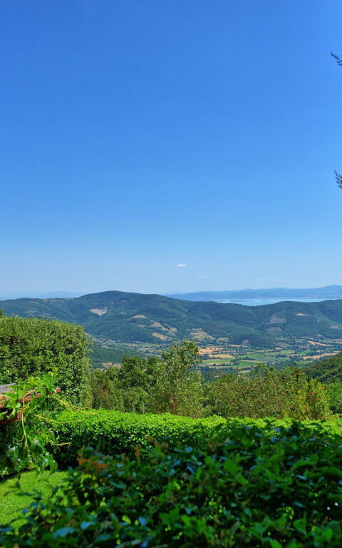 Il Salice: Visningar