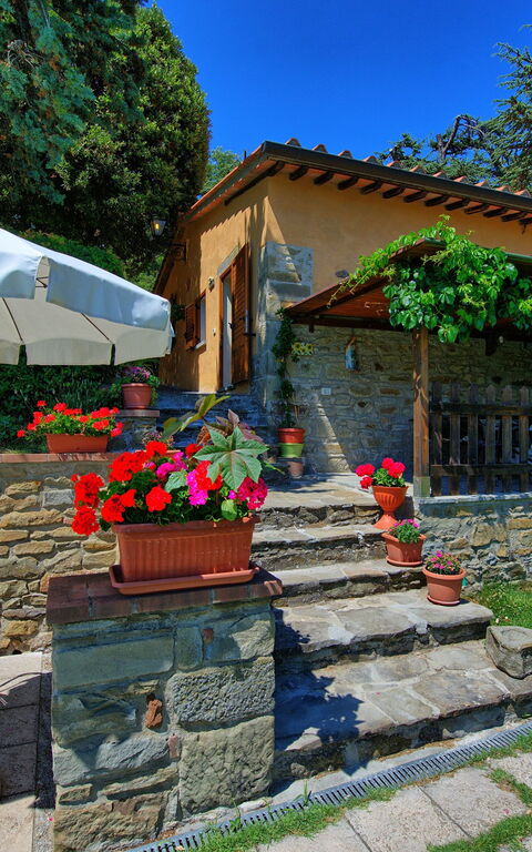 Il Salice: Trädgård