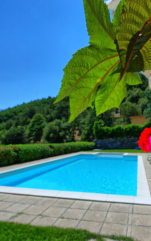 Il Salice: slå samman