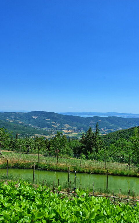 Il Salice: Visningar