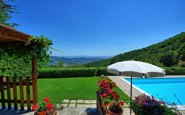 Il Salice: Trädgård