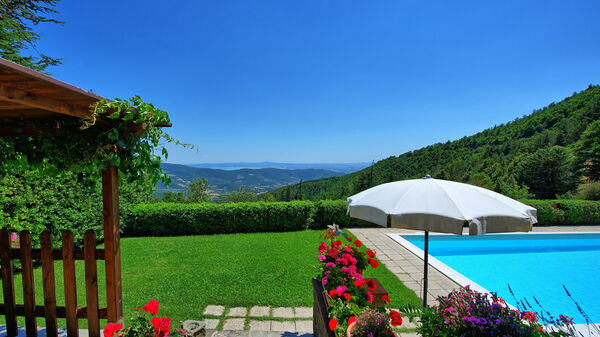 Il Salice: Trädgård