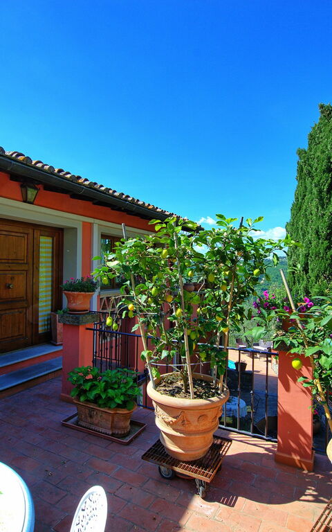 Casa Vania: Trädgård, Utomhus