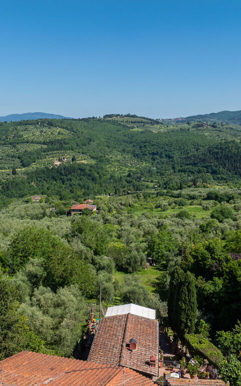Casa Vania: Utomhus, Visningar