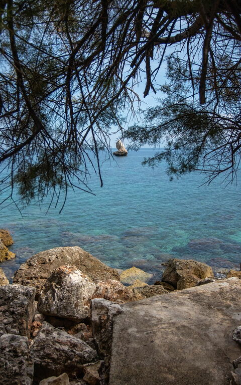 Villa Contrada: Utomhus