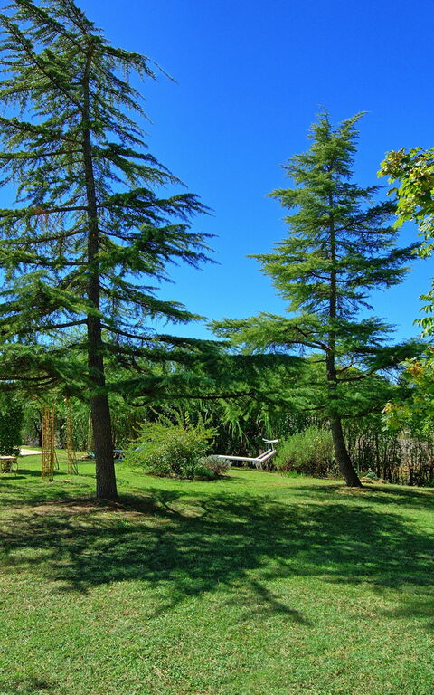 Casa Cipressi: Trädgård