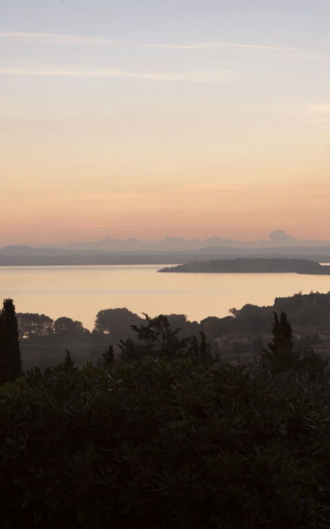 Villa Le Murate: Trädgård, Visningar