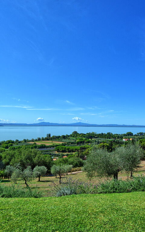 Villa Le Murate: Trädgård, Visningar