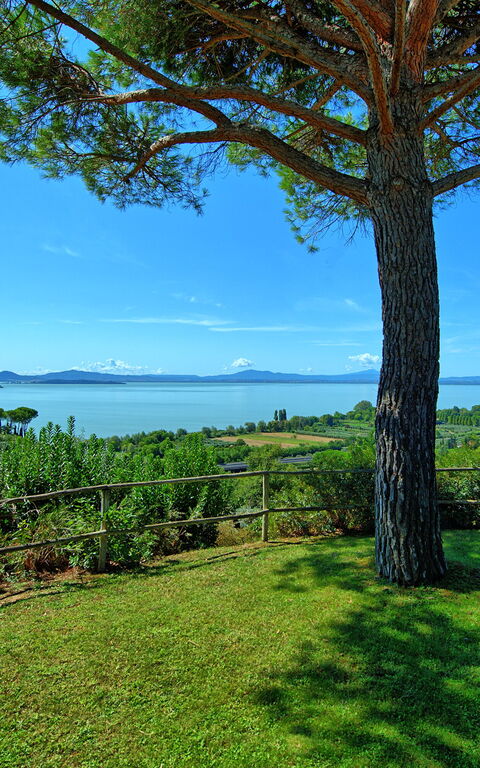 Villa Le Murate: Trädgård, Visningar