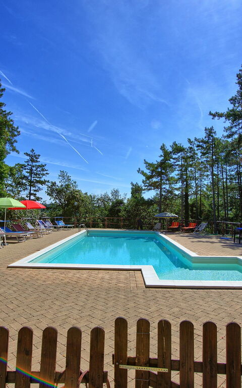 Villa Lorenzo: slå samman, Trädgård