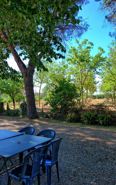 Casale Ambra: Trädgård