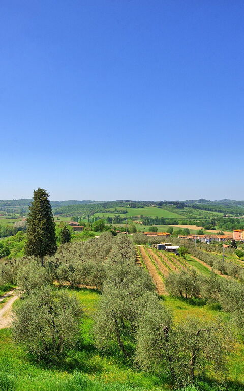 Villa Roberto: Utomhus