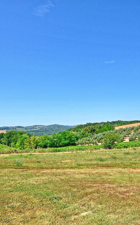 Vittoriana: Trädgård