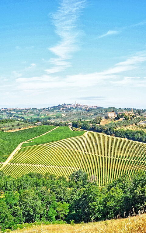 Vittoriana: Trädgård