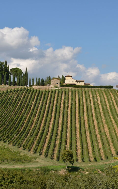 Tenuta: Visningar
