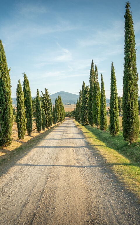 Villa Cassia: Utomhus, Visningar
