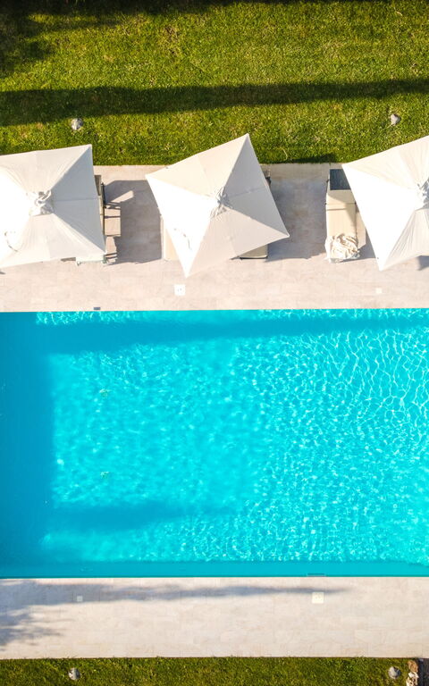 Villa Cassia: slå samman, Visningar