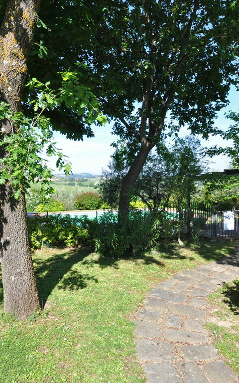 San Carlo: Trädgård