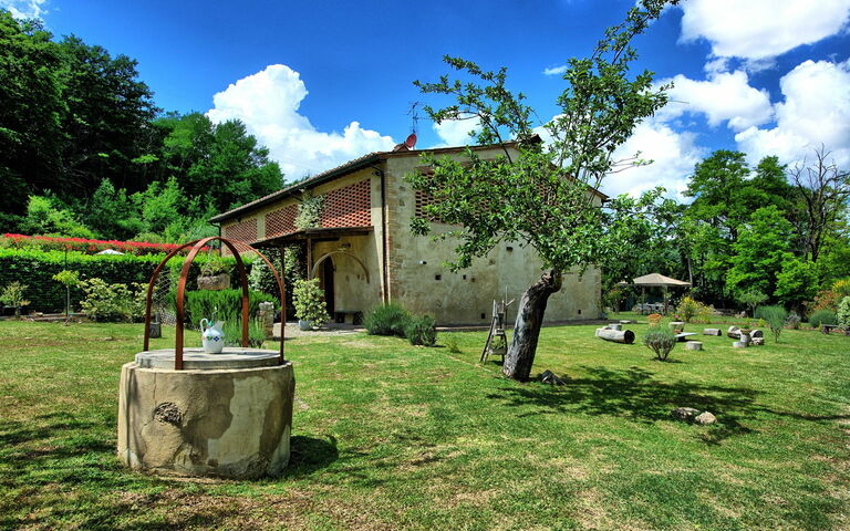 Villa Diletta: Trädgård