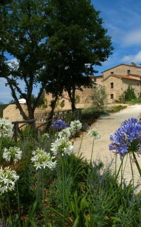 Villa Vittorio: Trädgård, Visningar