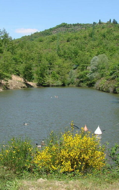 Civitella: Trädgård