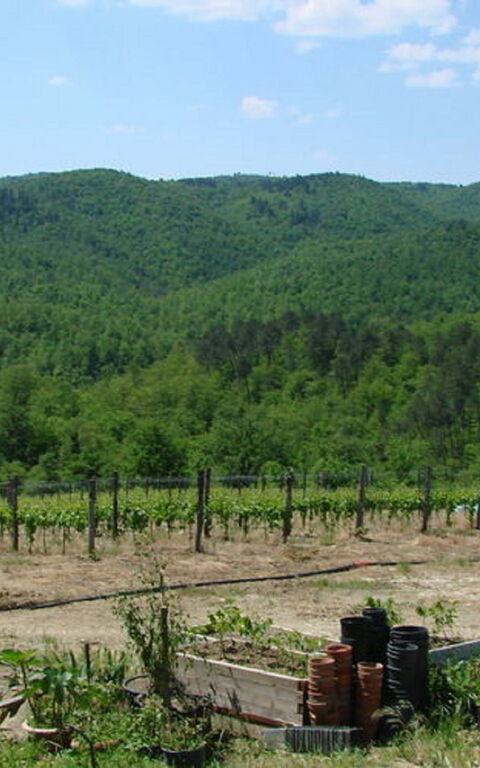 Civitella: Trädgård