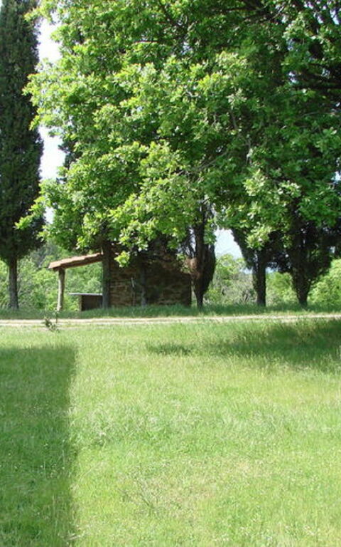 Civitella: Trädgård